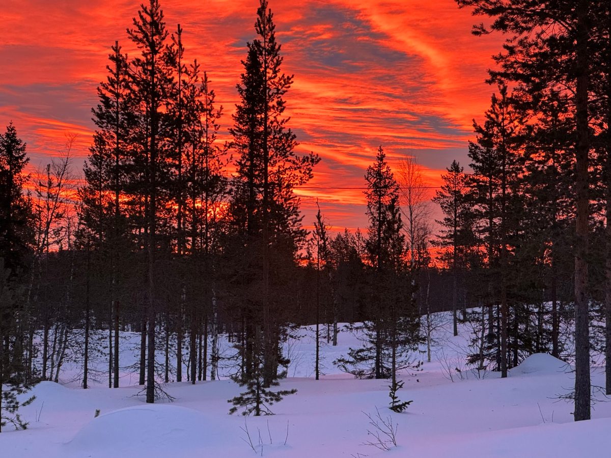 SNÖ SNÖ MERA SNÖ – FJÄTERVÅLEN DAG 2